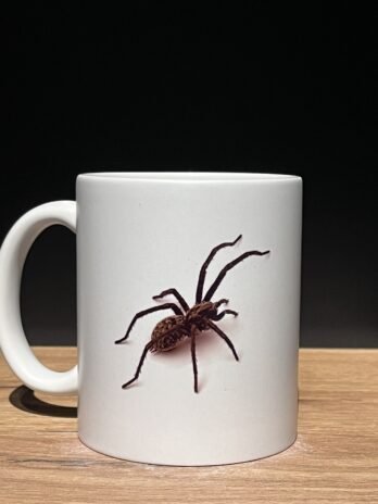 Mug Araignée
