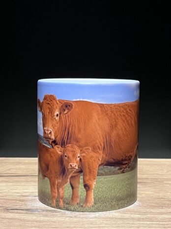Mug Vache avec son Veau